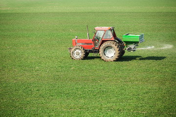 Farmer in tractor fertilizing wheat field at spring with npk