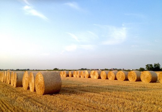 rotoballe