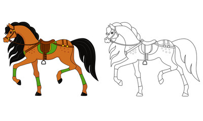 horse  for horseback riding, coloring and color image