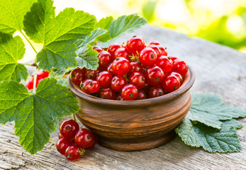 Red currant on a plate on background of green garden.