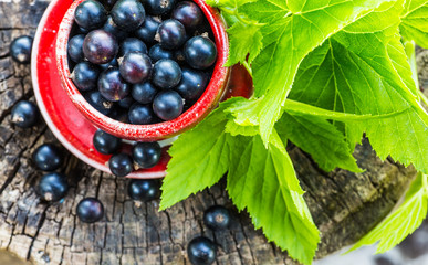 Black currants in a bowl