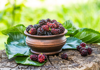 Fresh mulberries in a bowl on a garden background