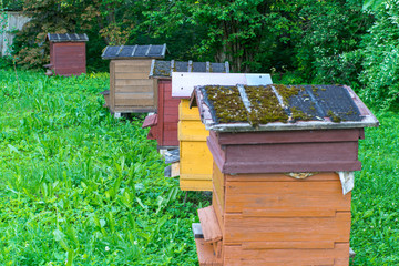 Hives. Beekeeping.