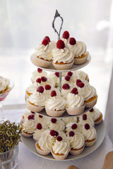 finished cupcakes with white cream and raspberries