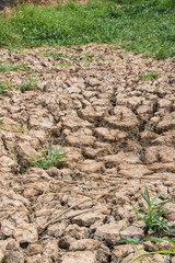 The ground water in the parched