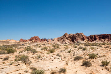 Fototapeta premium Valley of Fire State Park