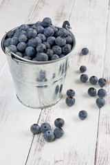 Small Bucket Full of Blueberries