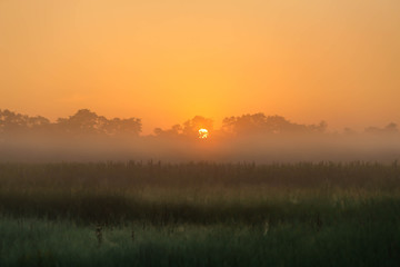 dawn on the field in the morning