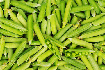 Background from green peas
