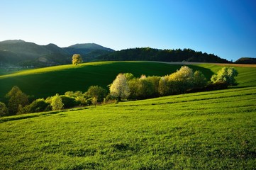 Spring meadows and fields landscape in Slovakia