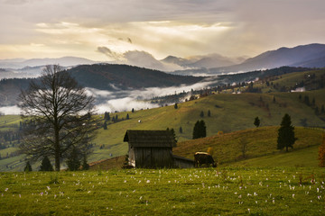 Bucovina hills. Romanian traditional villages landscape