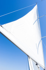 Fototapeta premium sail of a sailing boat. sailing yacht on the water