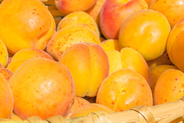 Naklejka na ściany i meble Ripe apricots close up in a wicker basket