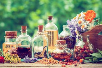 Bottles of tincture and dry healthy herbs
