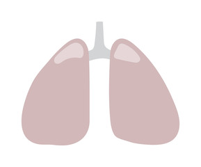 Human lungs icon vector illustration. Health care lungs icon breathe shape biology, anatomy organ. Respiratory pulmonary lungs icon bronchial organ design science healthcare element.