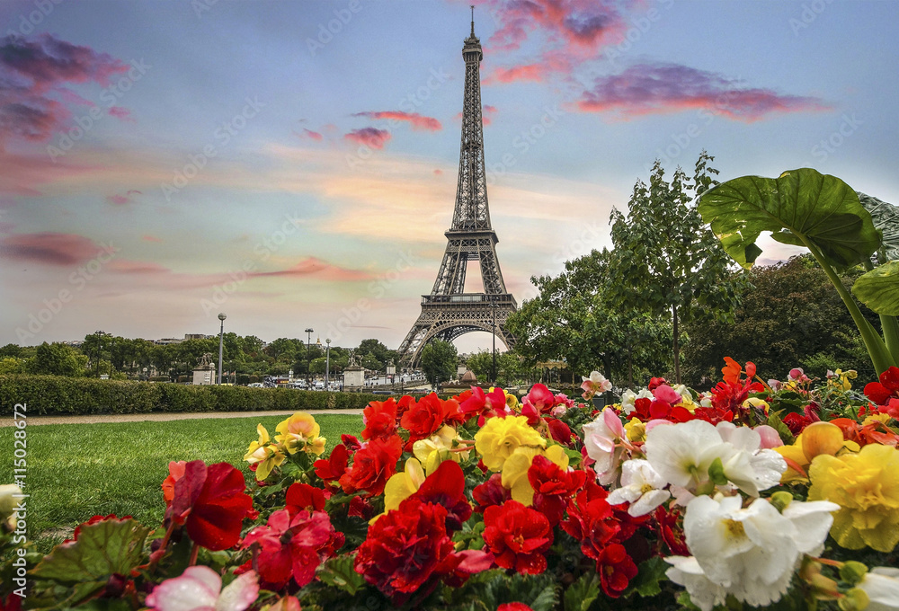 Canvas Prints skyline of Paris city roofs with Eiffel Tower