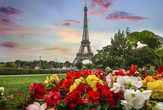 skyline of Paris city roofs with Eiffel Tower
