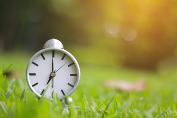 Stock Photo:.Garden background with retro alarm clock