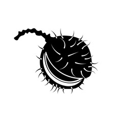 Chestnut icon. Black icon on white background.