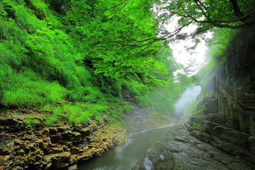 夏の小安峡