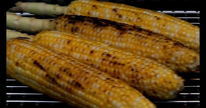 Corn being cooked on a grill in a barbecue picnic.