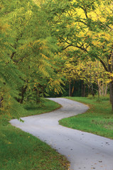 Walnut Trees In Autumnal Park, Large Detailed Vertical Landscaped Autumn Path Scene Twisting Tarmac Walkway Winding Asphalt Road Zigzag Perspective Walnuts Parkland Pavement Fall Solitude Concept Lawn