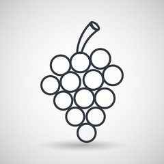 grapes drawing isolated icon design, vector illustration  graphic 