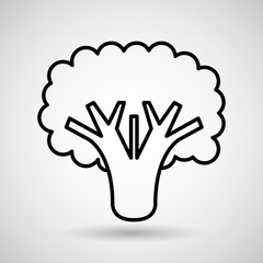 broccoli drawing isolated icon design, vector illustration  graphic 