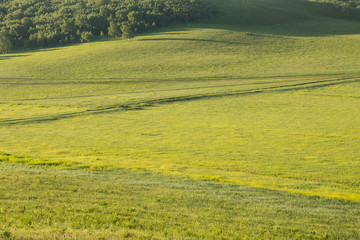 China Inner Mongolia natural grassland