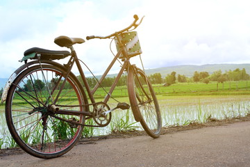 Obraz premium Bicycle on green field