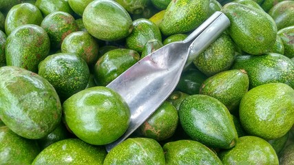 Avocado. Scoop on bunch of green avocados.