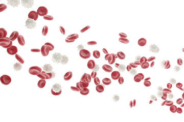 Red and white blood cells isolated on white background. Medical concept. 3d illustration
