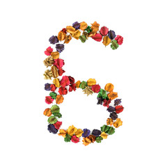 Alphabet number 6, Dried flower isolated on white background
