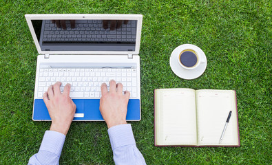 Businessman using a laptop on the grass outdoors; green business and technology concept.