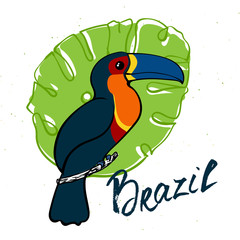 Isolated cute bright toucan with dark feathers and blue beak sit © felinaart