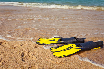 fins for snorkeling at the beach near water