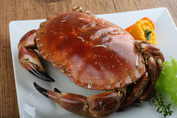 Stone crab