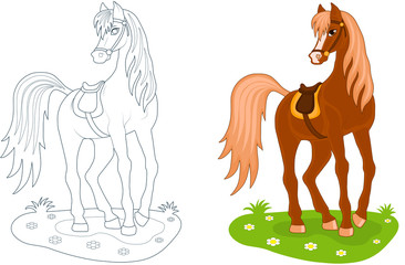 beautiful brown cartoon horse, coloring and colored illustration