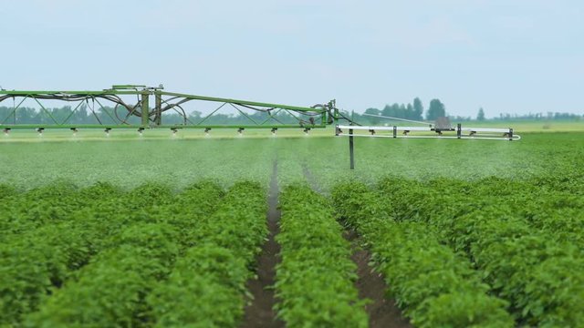The work of 3D nozzle sprayer.The Protection Of Plants.Tractor Spraying A Green Potato Field. Slow motion