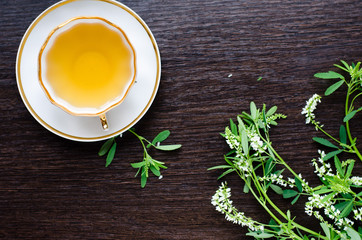 herbal sweetclover tea in a porcelain cup on a dark wooden background