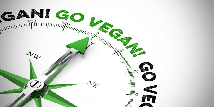 Kompass zeigt auf Go vegan!