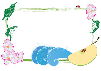 frame with apple flowers, apple fruit and ladybird