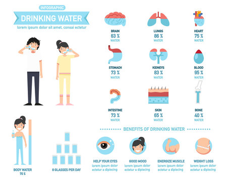 Benefits of drinking water infographics-body water,vector