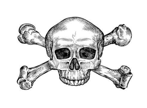 Jolly roger. Hand drawn human skull and crossbones. Sketch vector illustration