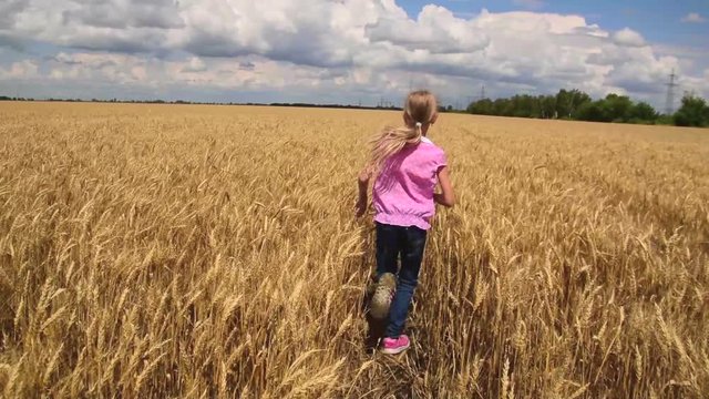 Girl runs across the field of wheat

