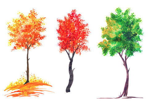 Set of watercolor autumnal trees. On an isolated white background. Red, orange and green foliage color