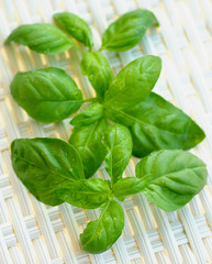 Fresh Basil Leafs
