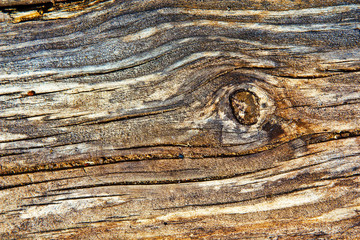 Old wood grunge texture for background