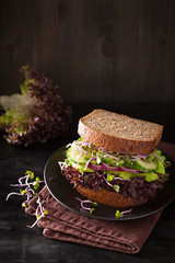 avocado cucumber sandwich with onion and radish sprouts
