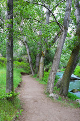 The natural path of village.